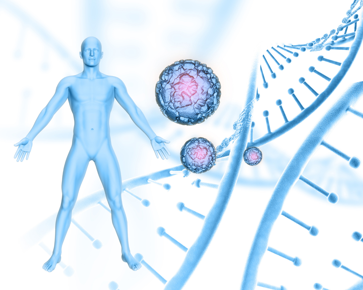 How To Calculate Your Biological Age