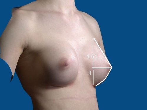 Phase-Plastic-Surgery-Blog-Golden Ratio2 Phase-Plastic-Surgery-Blog-Golden Ratio2