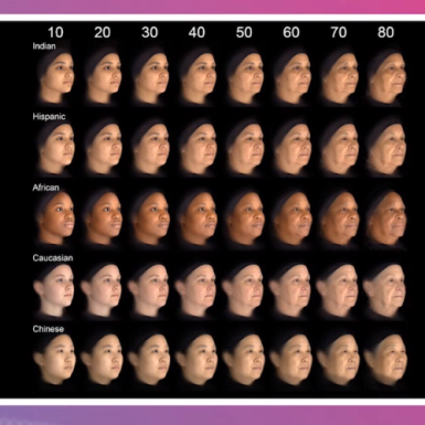 Phase-Plastic-Surgery-Blog-Colors